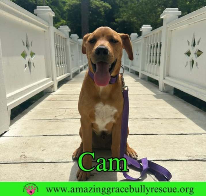 Photo of Cam