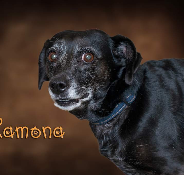 Photo of Ramona