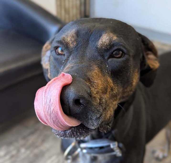 Photo of Mason