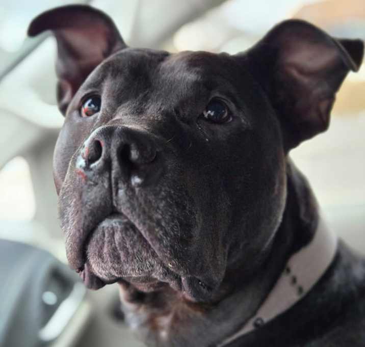 Photo of Graham