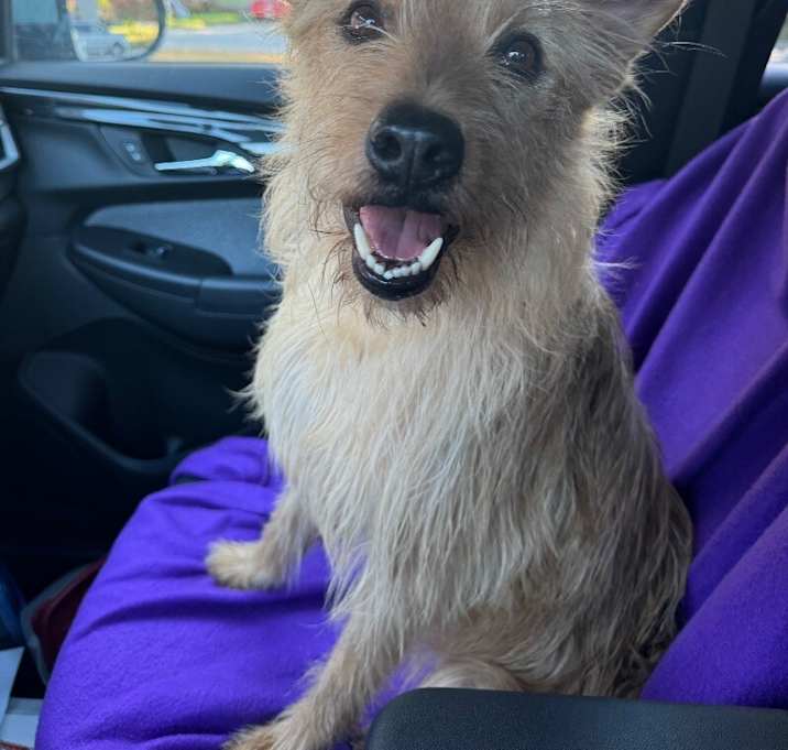 Photo of Nala