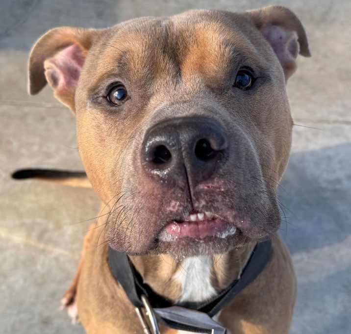 Photo of Tank