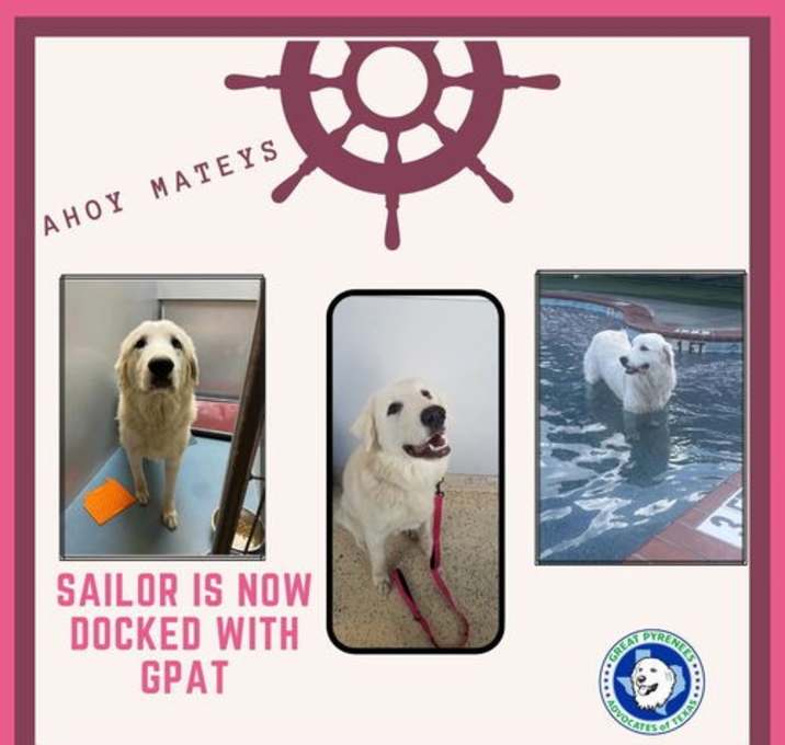 Photo of Sailor (now Stevie Nicks)