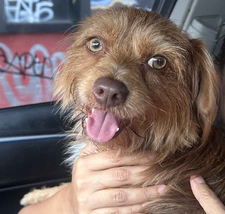 Photo of MAX