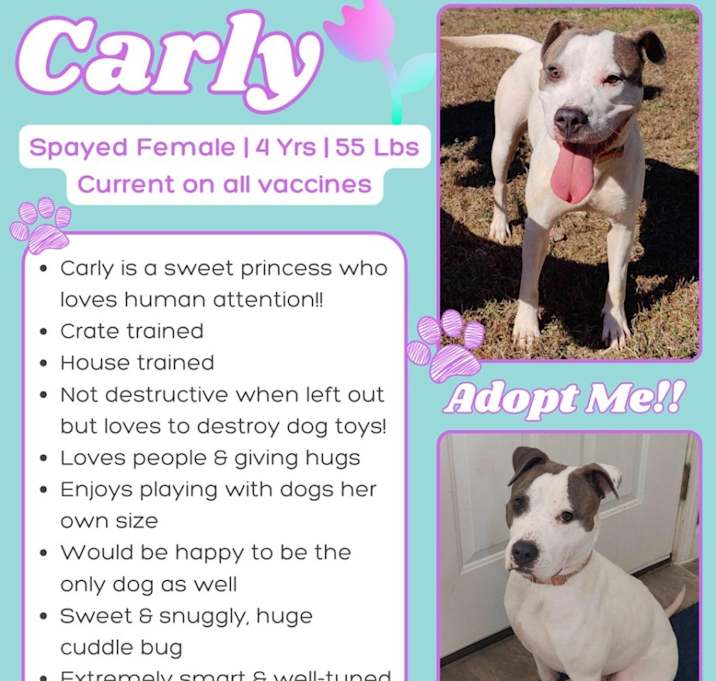 Photo of carly