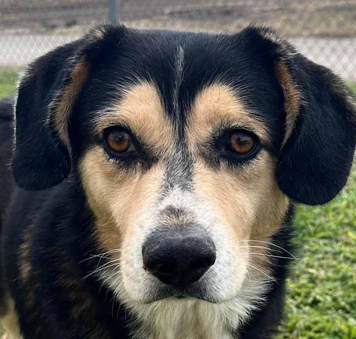 Photo of Kirby