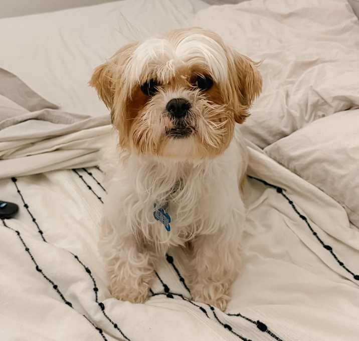 Photo of Joy