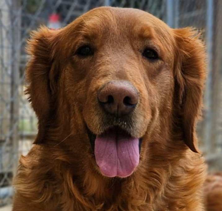 Photo of Belle