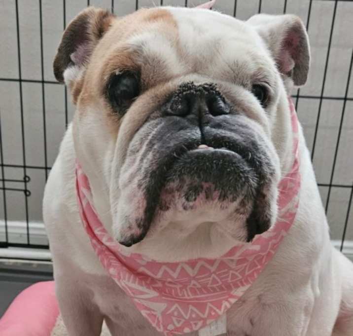 Photo of Maya