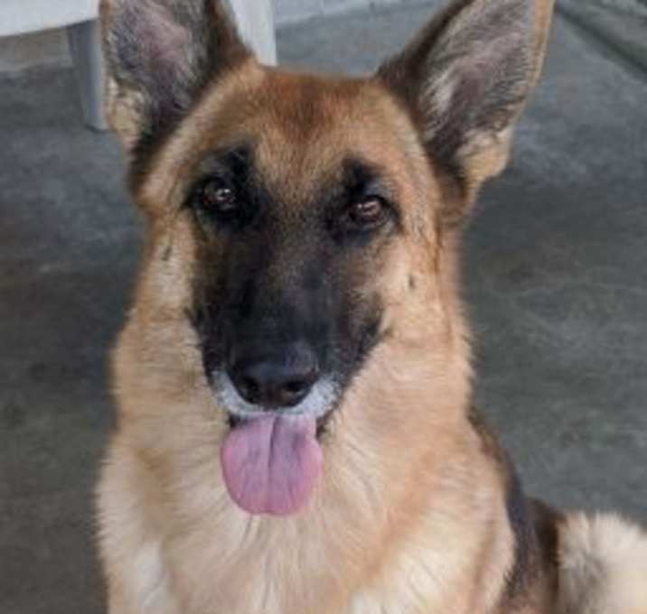 Photo of Brandi AKA Bailey