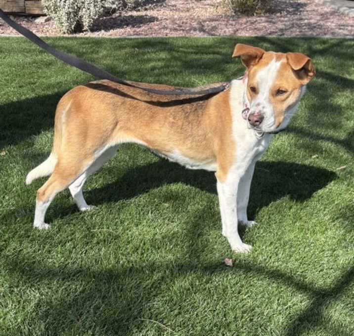 Photo of Rudy Girl