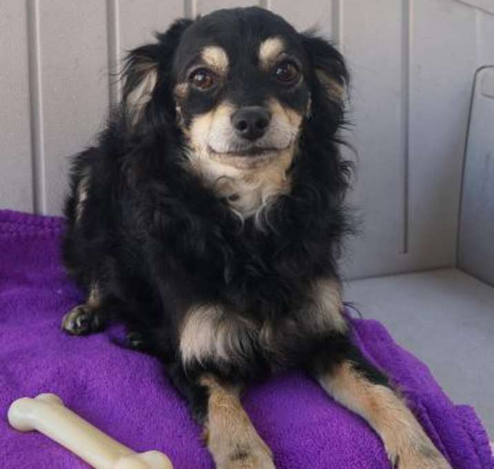 Photo of Lucy
