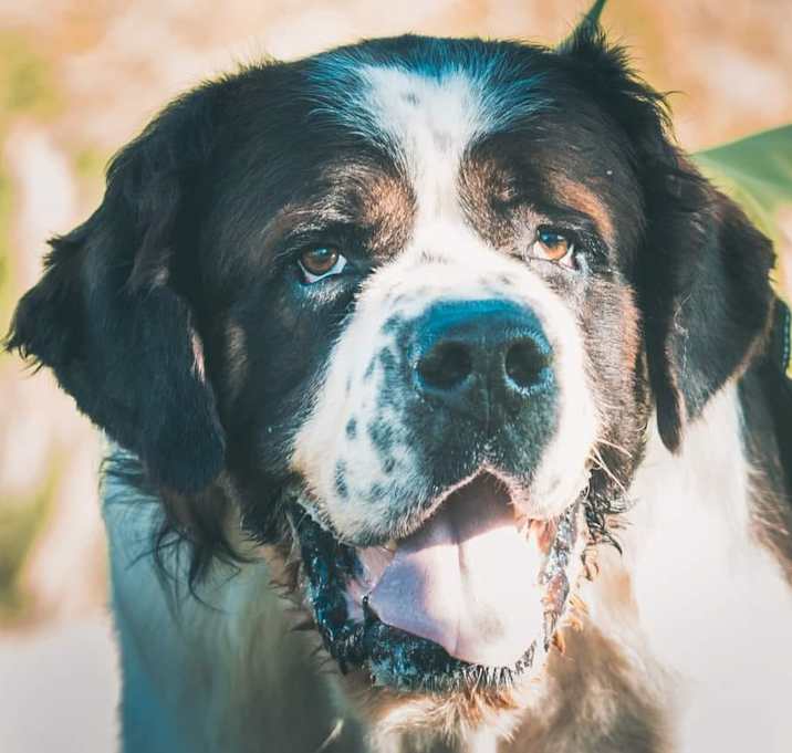 Photo of Remington
