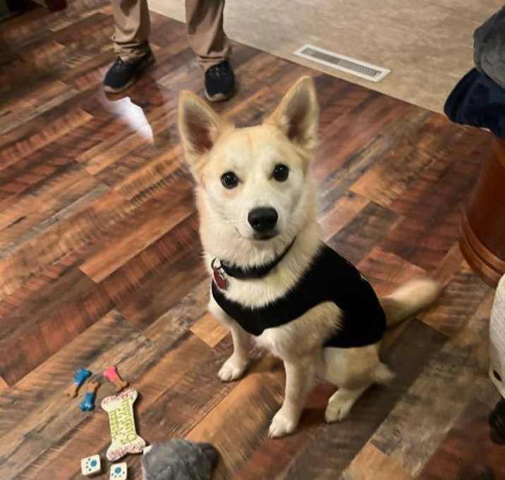 Photo of Bruno