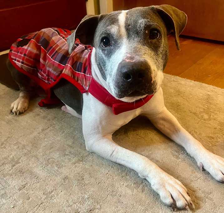 Photo of Cranberry