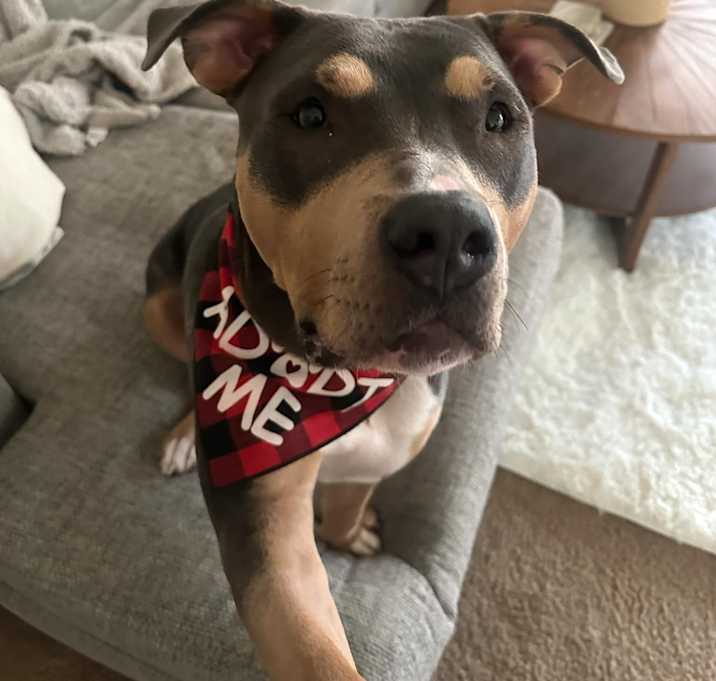 Photo of REMI