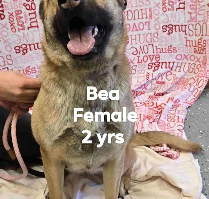 Photo of Bea
