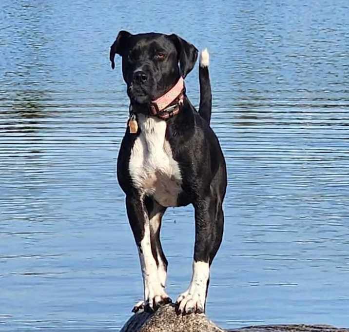 Photo of Sophie - coourtesy post