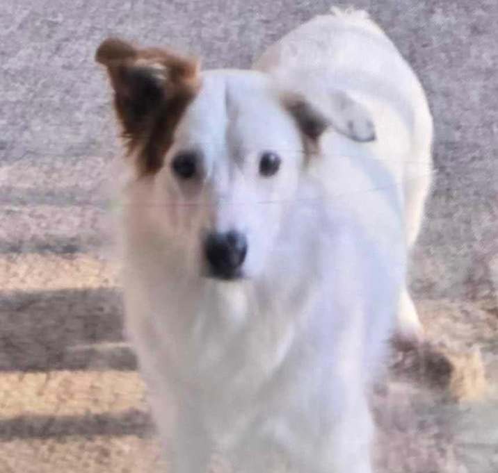 Photo of Shyanne