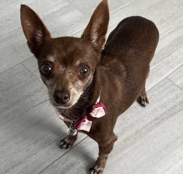 Photo of Coco