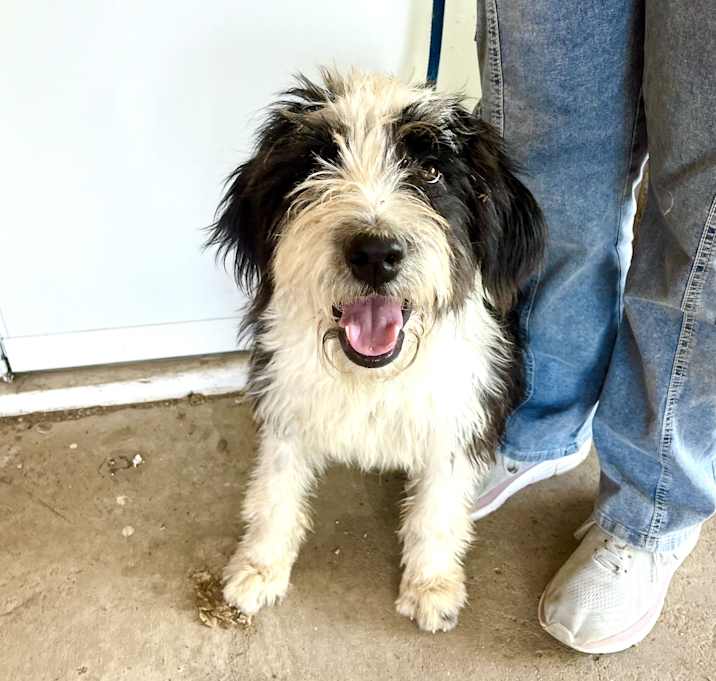 Photo of Annie