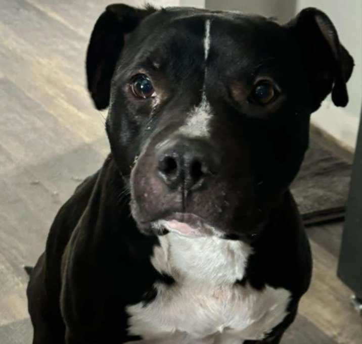 Photo of Argos