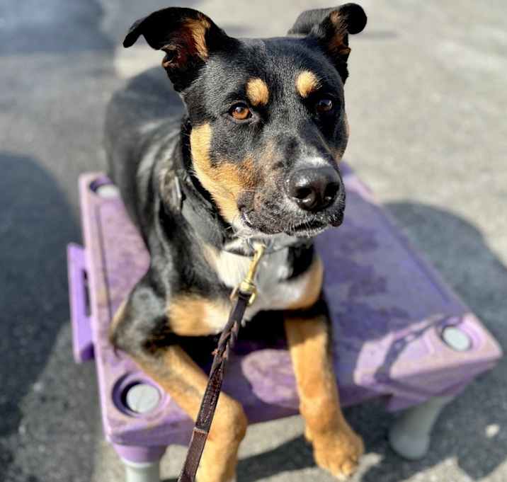 Photo of AC - Cleo