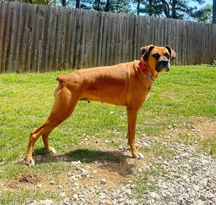 Photo of Heidi