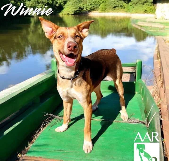 Photo of Winnie