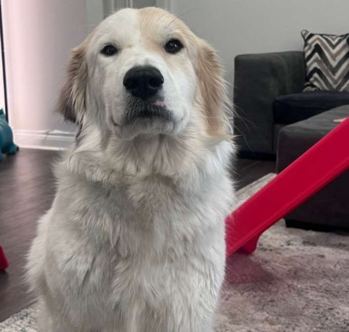 Photo of Molly