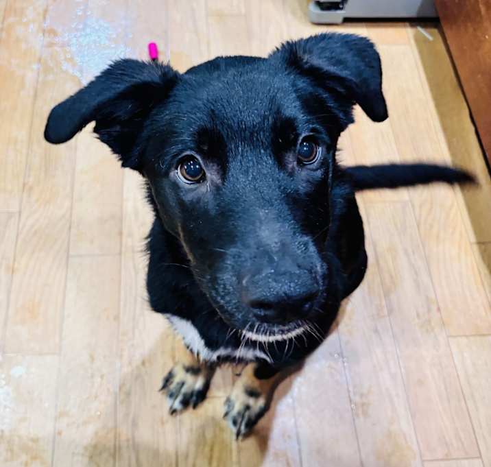 Photo of Gus