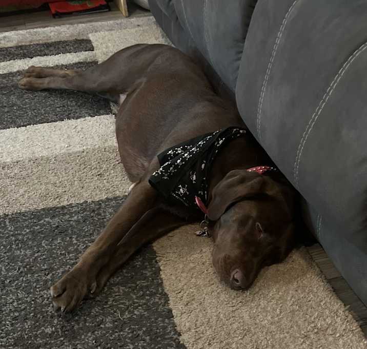 Photo of Chloe
