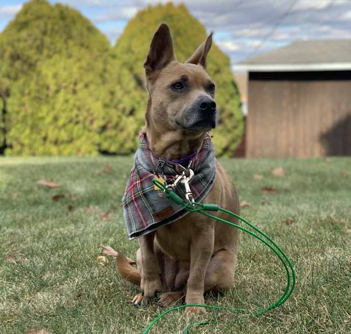 Photo of Gretel