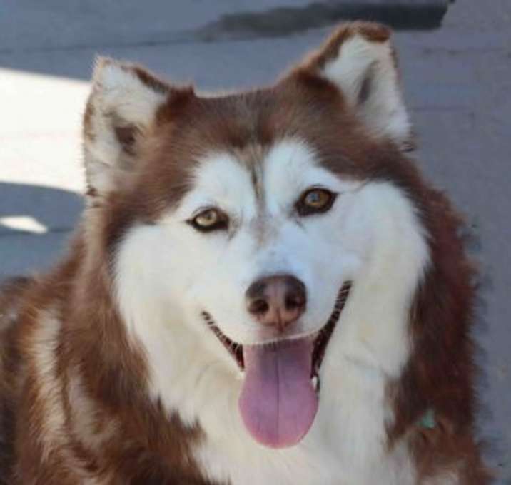 Photo of Kita