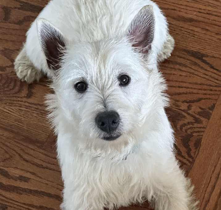 Photo of Gideon