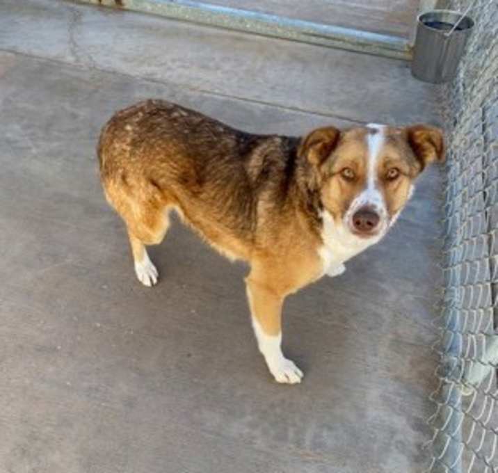Photo of Dutchie