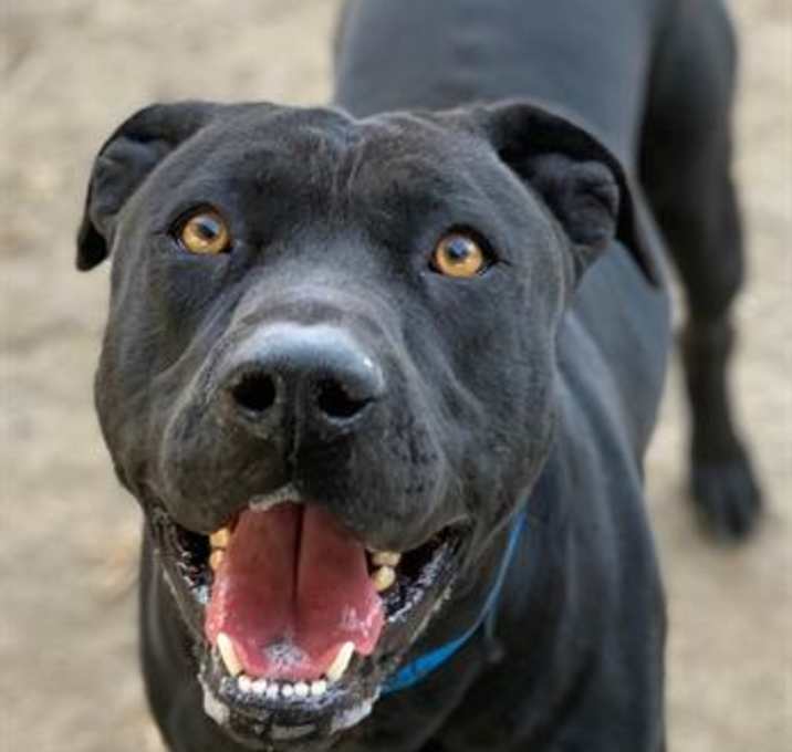 Photo of COOPER