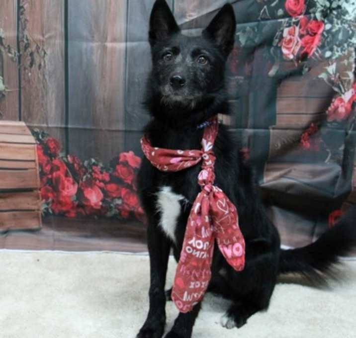 Photo of Taz