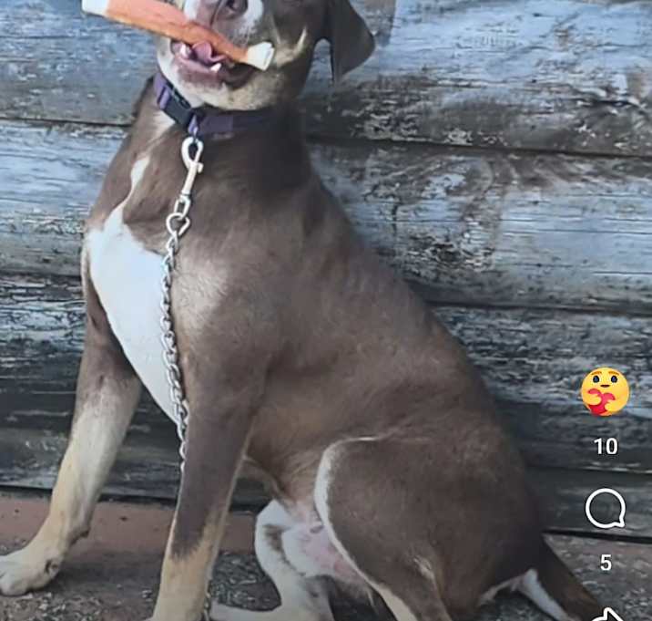 Photo of Bobby
