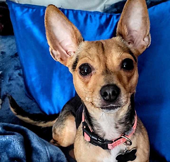 Photo of Sally