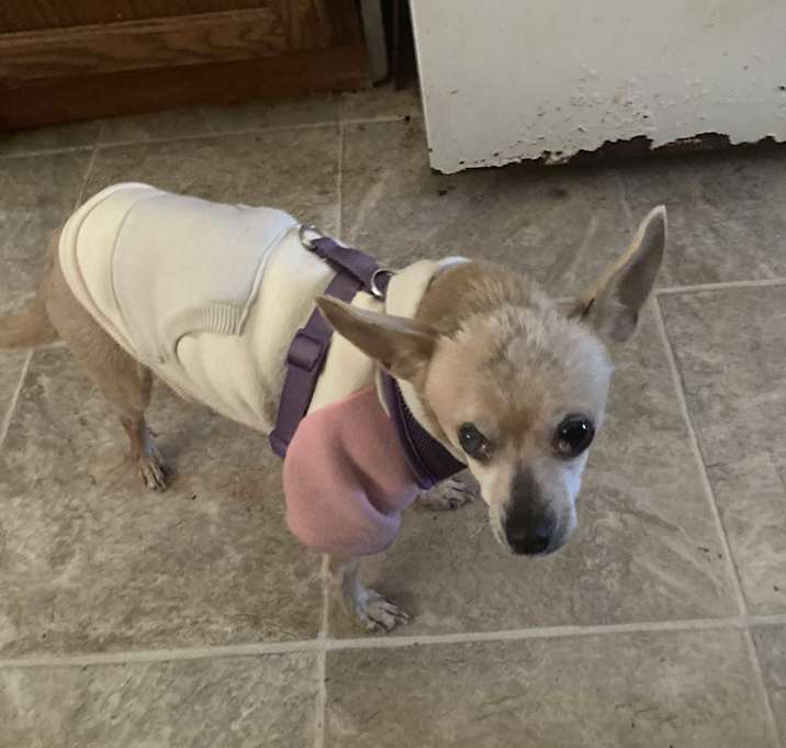 Photo of Sasha