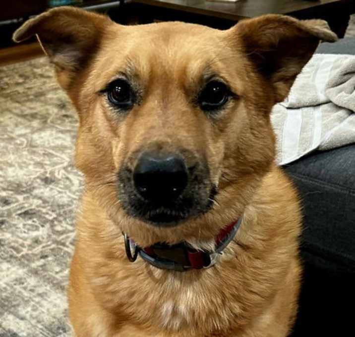 Photo of SPECIAL STELLA