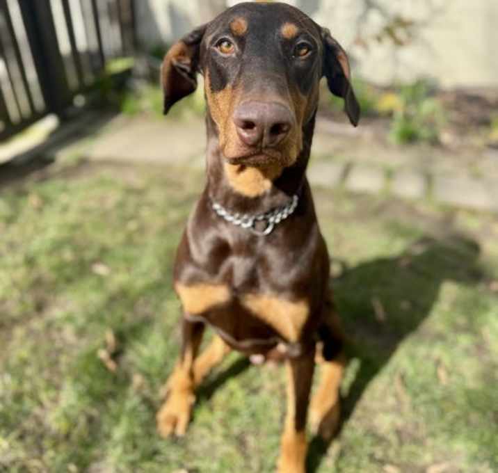 Photo of Luigi