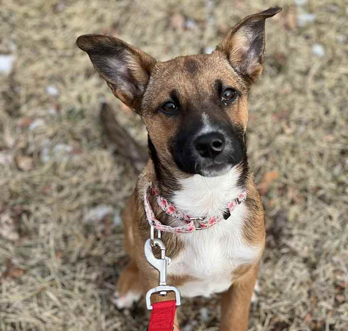 Photo of Alice
