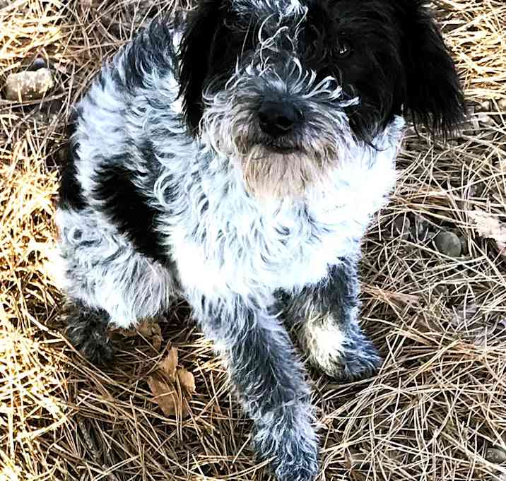 Photo of Tristan