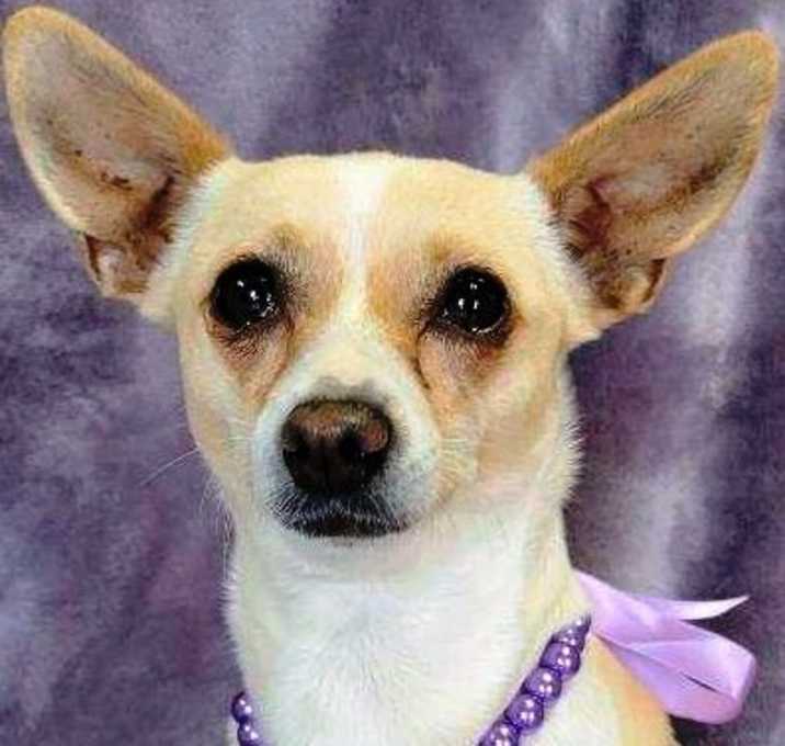 Photo of Gigi