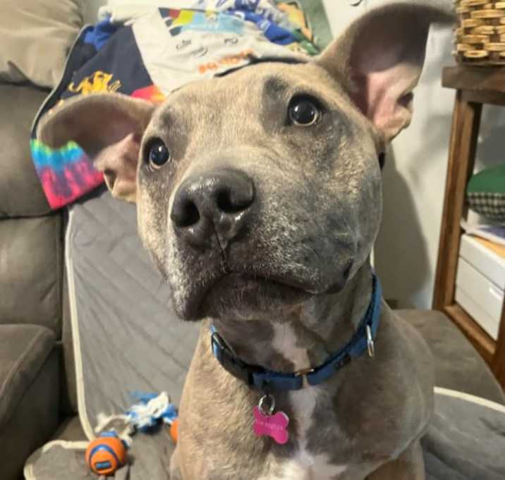 Photo of ACE