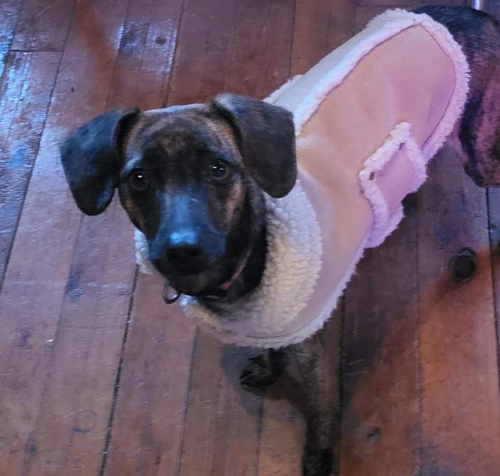 Photo of Birdie