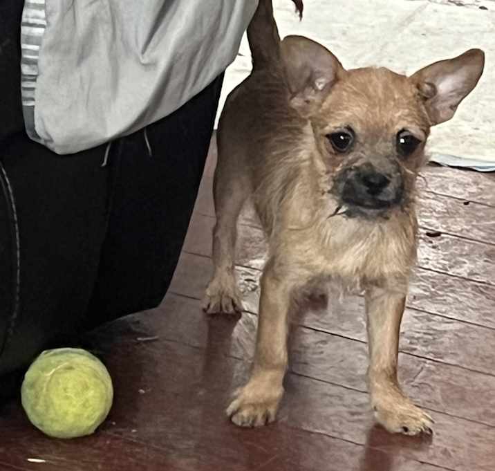 Photo of Luke
