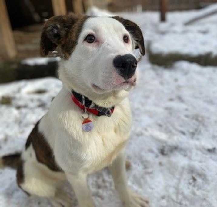 Photo of Pepper